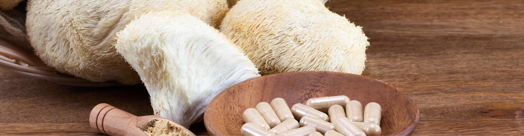 Lion’s Mane: natuurlijke ondersteuning voor mentale helderheid en focus