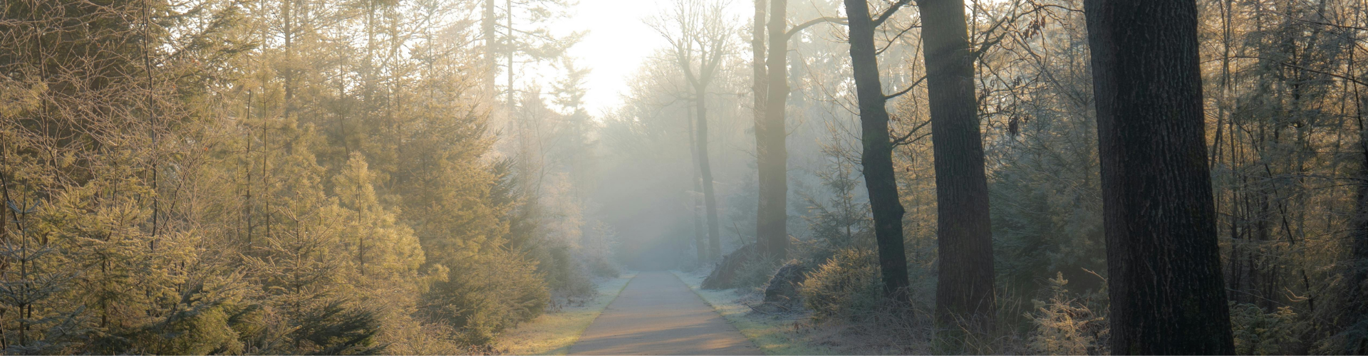 Waarom naar buiten gaan in de winter goed is voor je brein en humeur