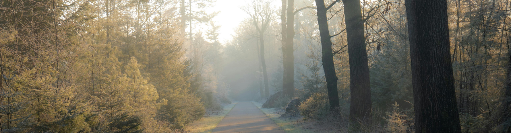 Waarom naar buiten gaan in de winter goed is voor je brein en humeur