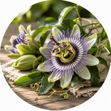 Passiebloem
